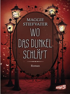 cover image of Wo das Dunkel schläft